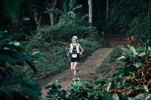 BIB: 
                            <button type="button" onclick="openModal(25787052)" class="btn btn-primary btn-sm float-right btn-popup" data-toggle="modal" data-target=".modal-high-quality">
                        <i class="fas fa-shopping-cart"></i> Add to Cart
                    </button>
                                            <button type="button" onclick="isThisMe(25787052, true)" class="btn btn-success btn-sm float-right btn-popup btn-isme hidden" data-toggle="tooltip" data-placement="bottom" title="นี่คือรูปของคุณใช่ไหม คลิกที่นี่เพื่อเอาเข้าอัลบั้ม">
                        <i class="fas fa-plus"></i> Add to album
                    </button>
                    <button type="button" onclick="isThisMe(25787052, false)" class="btn btn-warning btn-sm float-right btn-popup btn-isnotme hidden">
                        <i class="fas fa-ban"></i> Remove from album
                    </button>